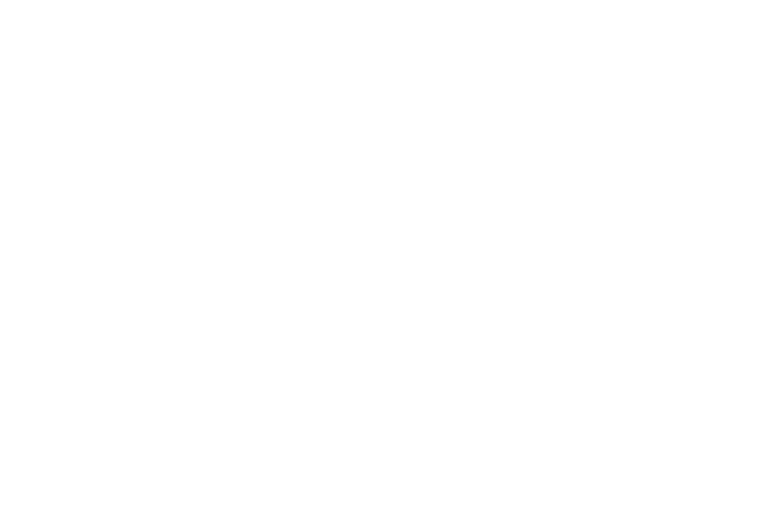 Msg spa